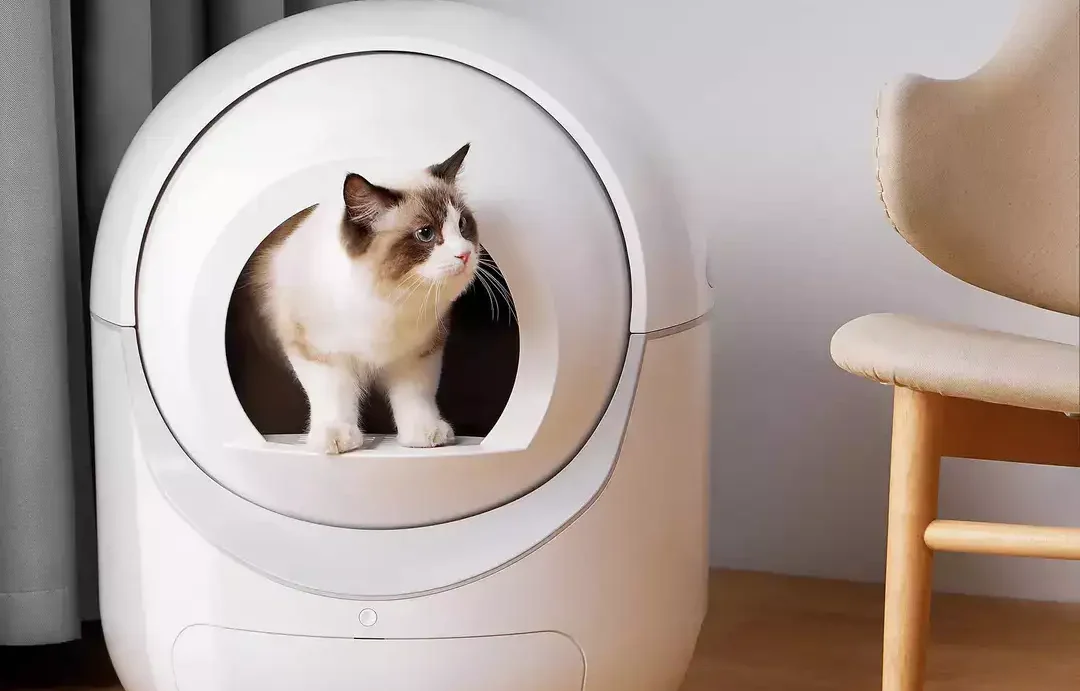 What are the Benefits of an Automatic Cat Litter Box?