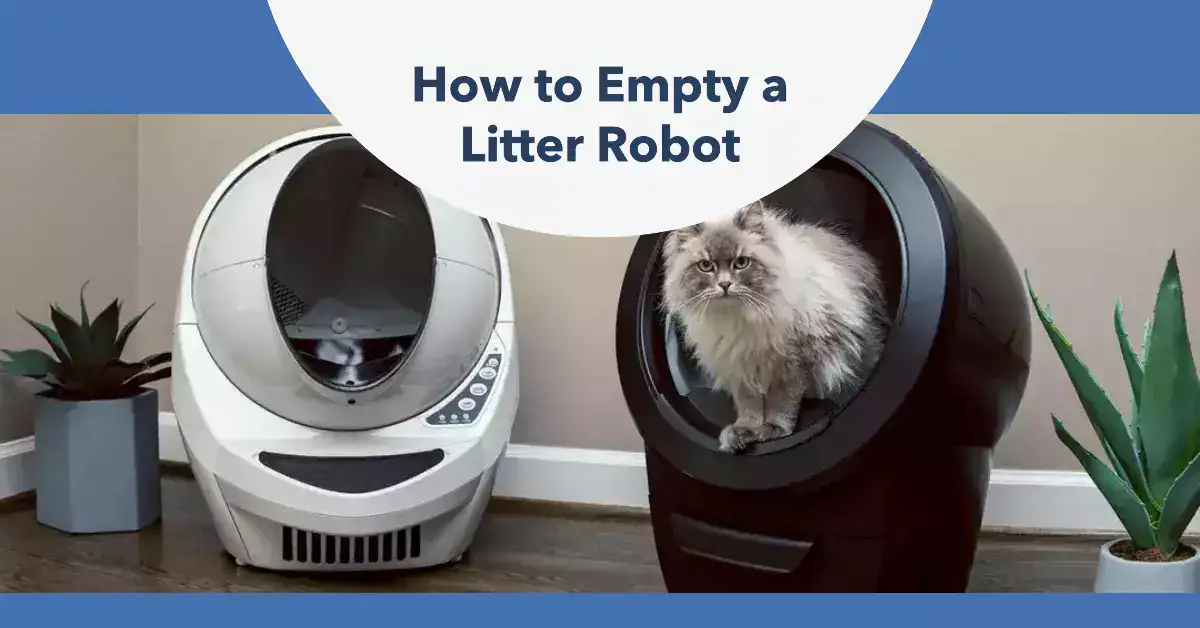 featured image for an article about How to Empty a Litter Robot 1080720