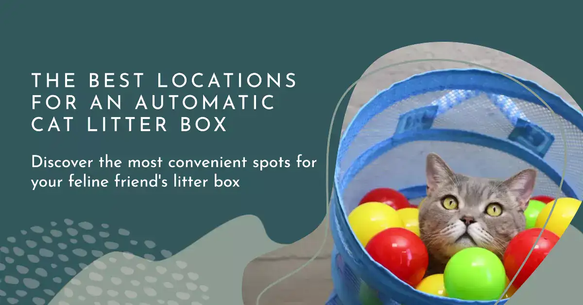 featured image for an article about The Best Locations for An Automatic Cat Litter Box 2023 1080720