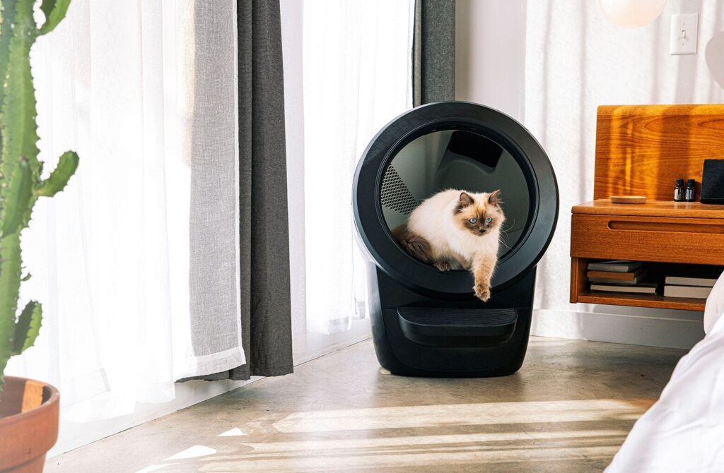 How to Get Your Cat to Use the Litter Robot 4 in 5 Easy Steps