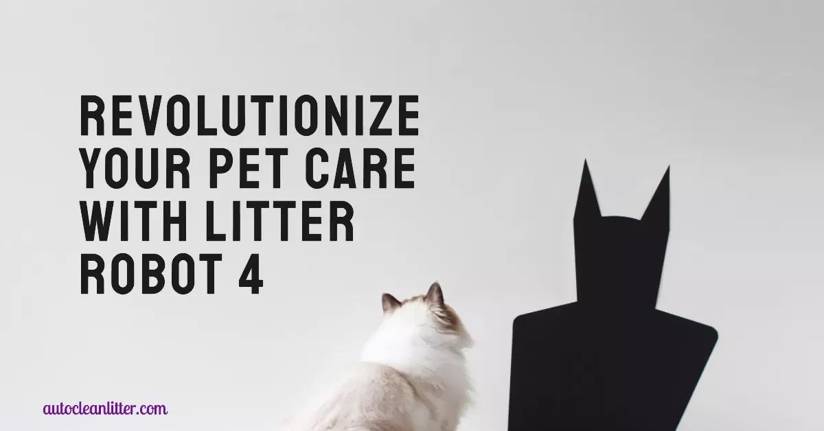 featured image for an article about Litter Robot 4 Reviews Comprehensive Smart Litter Box Guide 1080720