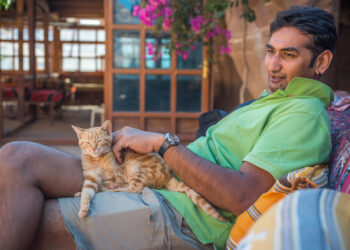 affordable veterinary care for cats | Explore practical and innovative solutions to access affordable veterinary care for your beloved cats, from financial assistance programs to low-cost clinics and alternative options like savings accounts over pet insurance. | Affordable Vet Care: Creative Solutions for Cat Owners