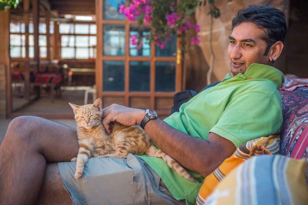 affordable veterinary care for cats | Explore practical and innovative solutions to access affordable veterinary care for your beloved cats, from financial assistance programs to low-cost clinics and alternative options like savings accounts over pet insurance. | Affordable Vet Care: Creative Solutions for Cat Owners