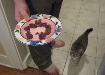optimal nutrition guidelines for cats | Essential Nutrition and Feeding Guidelines to Keep Your Cat Healthy and Happy | Essential Nutrition and Feeding Guidelines for Your Cat's Health