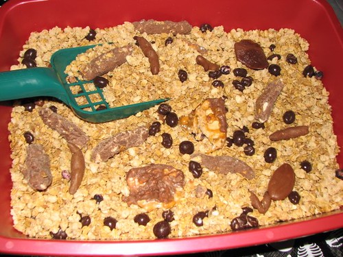 composting cat litter safely | Discover the safety and sustainability of composting cat litter for your garden. Learn about different litter types, composting benefits, proper techniques, and crucial precautions to create an eco-friendly gardening practice. | Is Composting Cat Litter Safe and Sustainable for Your Garden?