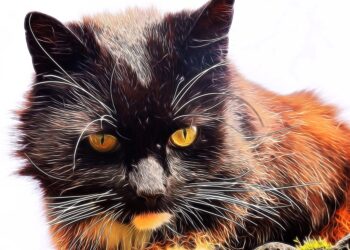 homemade cat food with ground bones | Creating DIY Cat Shelters and Understanding Cat Nutrition: A Guide for Feline Health and Well-being | DIY Mini Cat Shelter and Using Ground Bones in Cat Food