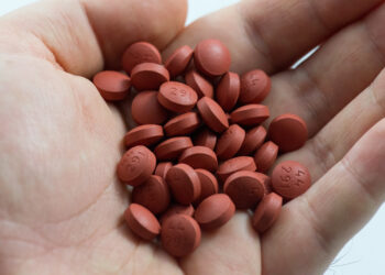 cat ibuprofen toxicity signs | Understanding the dangers of ibuprofen for cats is crucial for pet owners. Learn why this common pain reliever poses significant toxicity risks to felines and how to keep your cat safe from accidental ingestion. | My Cat Ate Ibuprofen: What Are the Risks?