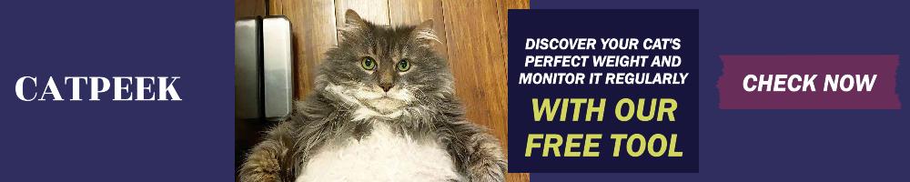 Cat Weight Calculator and Tracker